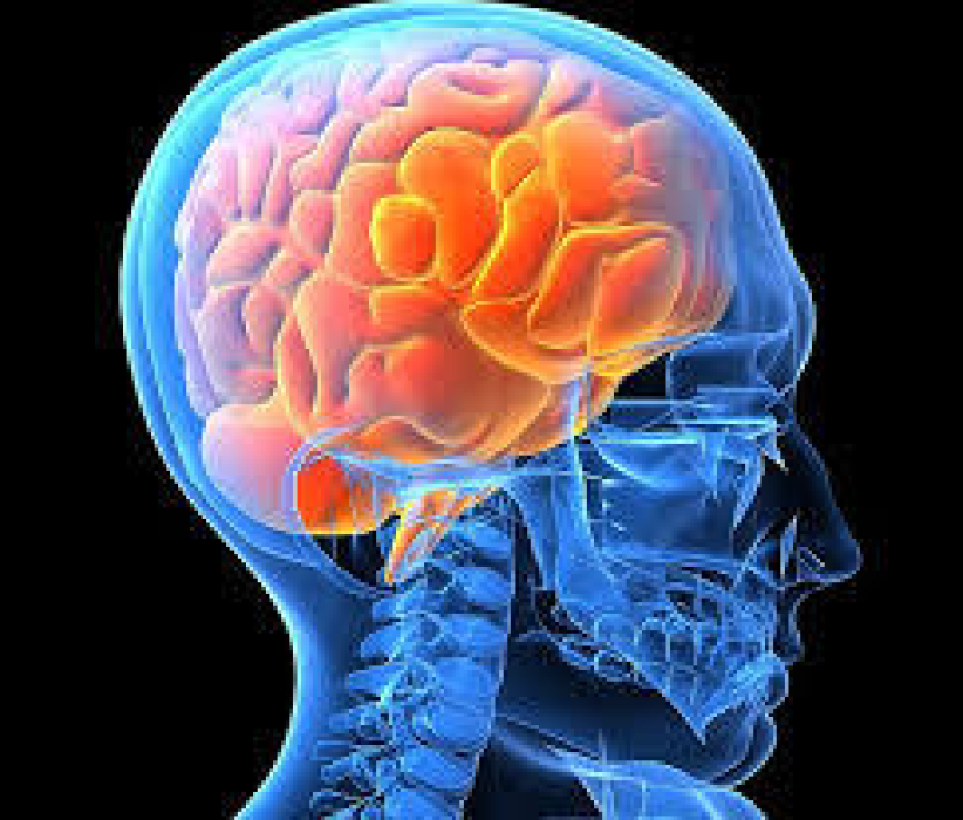 What Is the CNS Therapeutics Market and Why Is It Growing So Fast?