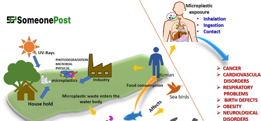 The Side Effect of Microplastics on the Environment and Human Health