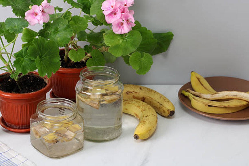 Why the Micronutrient Fertilizers Market Is Essential for Food Security and Sustainable Growth