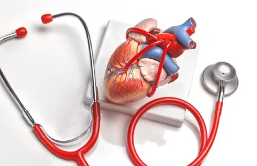 How Technology Is Transforming the Cardiovascular Devices Market