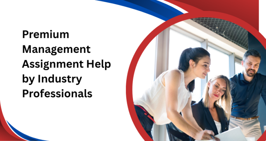 Premium Management Assignment Help by Industry Professionals