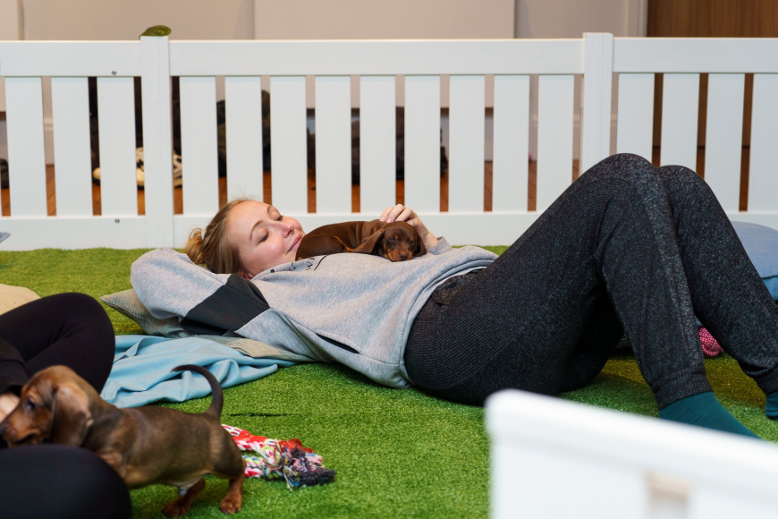 Bringing Wellness to Life: How Puppy Yoga Classes in London Inspire Positivity