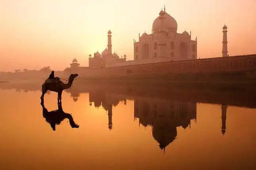 TripTajMahal – The Trusted Name for Exceptional Taj Mahal & Agra Tour Experiences