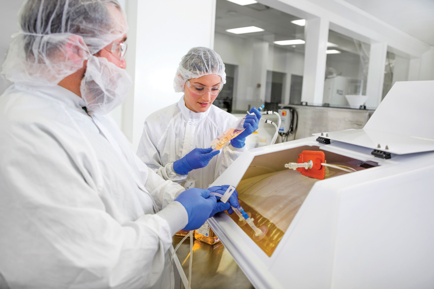 How Do Regulatory Guidelines Affect Single-Use Bioprocessing?