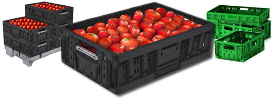 Plastic Crates Market Size, Growth, and Strategic Insights 2025-2032