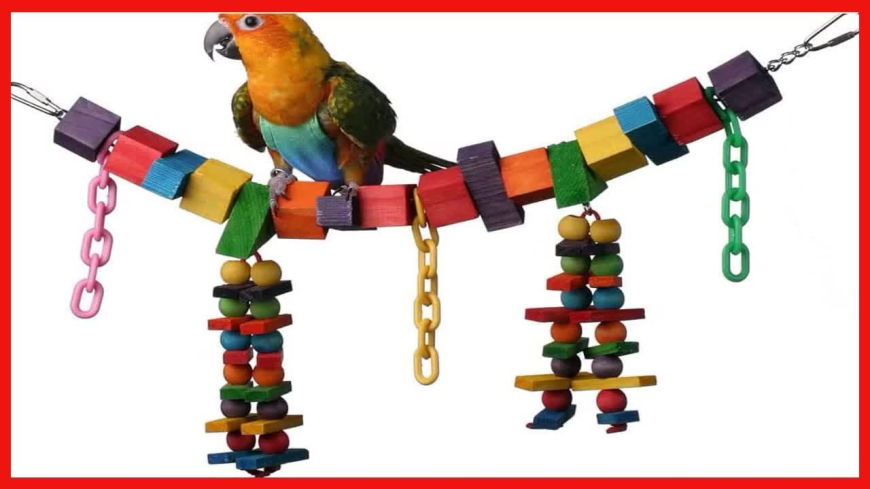 Bird Toys Market Growth and Trend Analysis: Insights on Size, Revenue, and Strategies