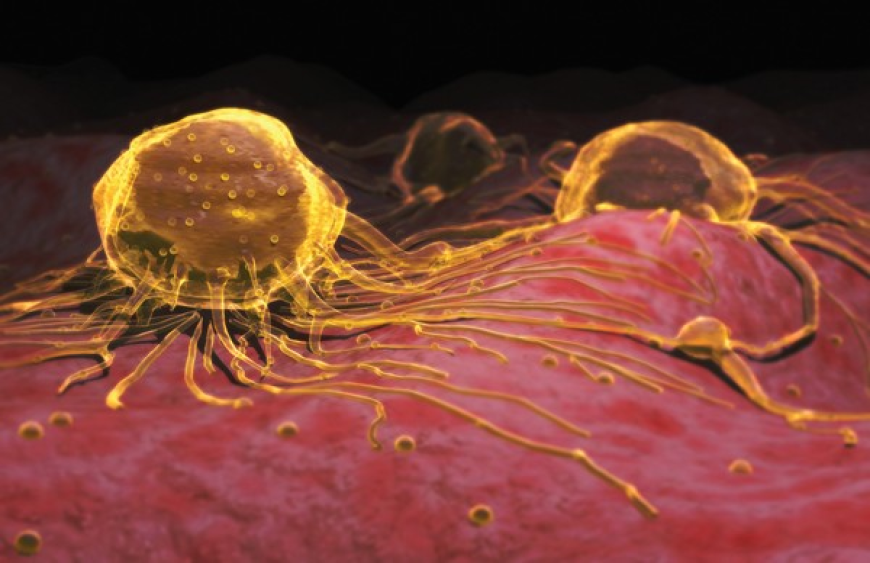 Cancer Pain Market Size, Trends, and Strategic Growth Analysis 2025-2032