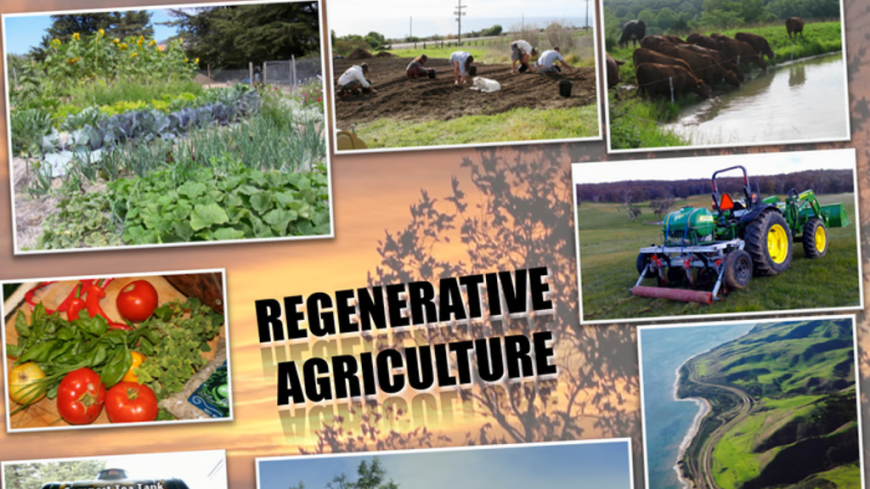 Regenerative Agriculture Market Size, Trends, Opportunities, and Growth Forecast