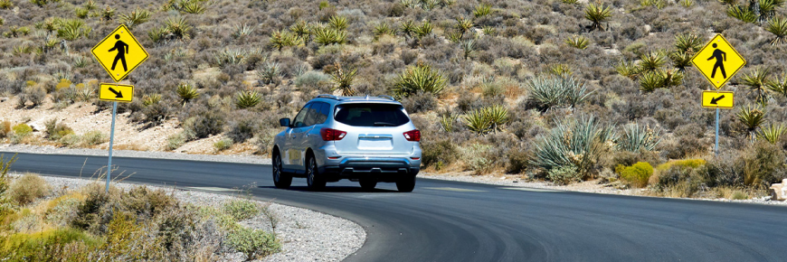 Best Japanese Used Cars from Auctions for Global Importers