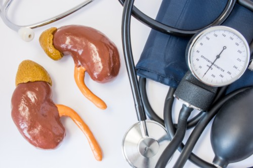 When High Blood Pressure Is Caused by Kidney Artery Narrowing