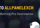 AllPanelExch Explained Why Indian Players Are Choosing This Trusted Gaming Platform