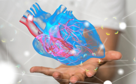 Cardiac Resynchronization Therapy Market Size, Trends, and Growth Strategies