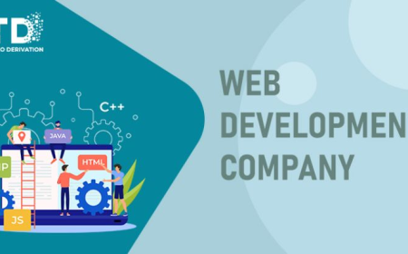 Where to Find Custom Web Development Services in USA