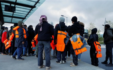 The Strategist's Guide: Navigating the Critical Crossroads in a UK Deportation Case