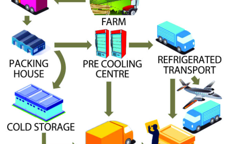Cold Chain Logistics Market Competitive Landscape 2025–2033