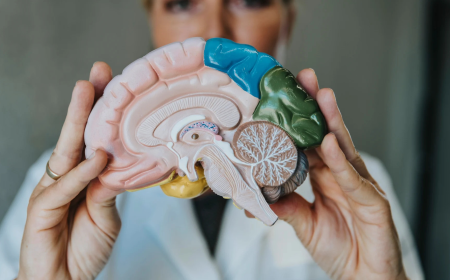 Vasomotor Symptoms Market Size, Trends, and Growth Forecast 2025-2032