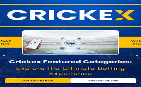 How to Manage and Protect Your Online Cricket ID Effectively