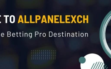AllPanelExch Explained Why Indian Players Are Choosing This Trusted Gaming Platform