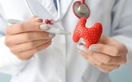 Global Hypoparathyroidism Market Trends and Growth Dynamics 2025-2032