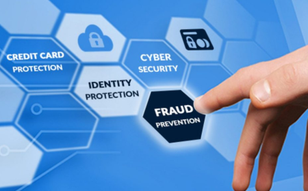 How Do Startups Contribute to Innovation in the Fraud Detection and Prevention Industry?