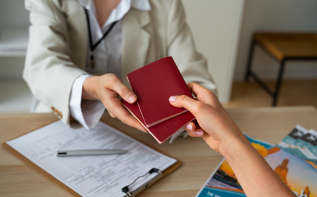 Understanding Visa Services in Dubai: Silver Visa and Green Visa