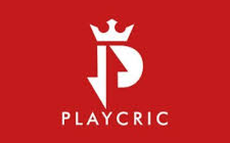 Playcric – Stay Updated with Live Cricket Scores and Match Highlights