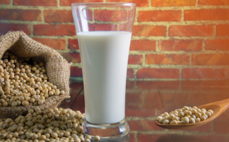 Top Companies in the Soybean Food & Beverage Products Market and Competitive Strategies