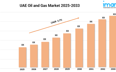 UAE Oil and Gas Market Size & Trends Forecast 2025-2033