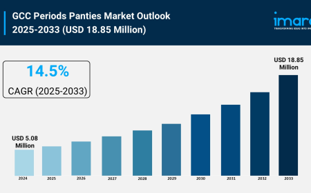 GCC Period Panties Market Size & Trends Forecast 2025-2033