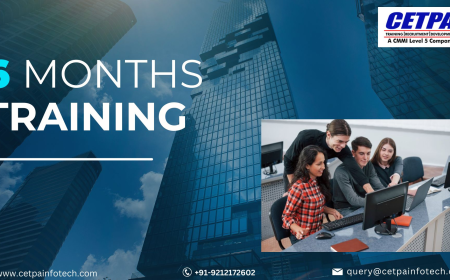 Why 6 Months Training Is Ideal for Skill Enhancement and Job Readiness?