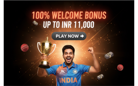 A Complete Guide to Online Cricket Platforms