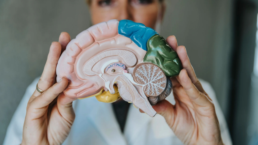 Vasomotor Symptoms Market Size, Trends, and Growth Forecast 2025-2032