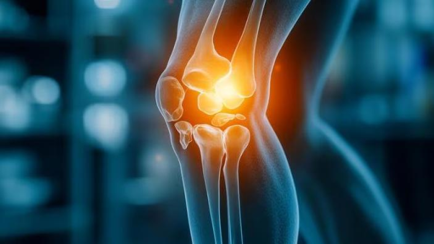 Chondrosarcoma Market Size, Trends, and Growth Forecast 2025-2032