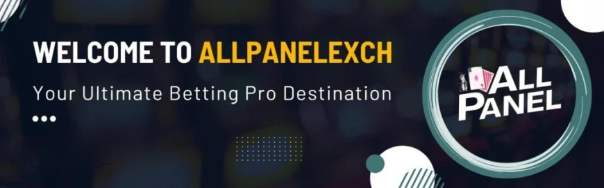 AllPanelExch Explained Why Indian Players Are Choosing This Trusted Gaming Platform