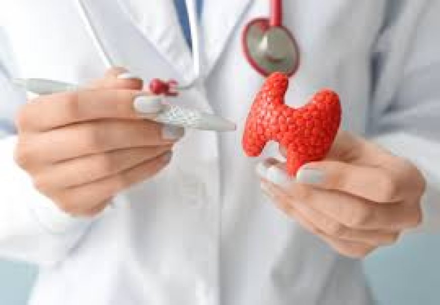 Global Hypoparathyroidism Market Trends and Growth Dynamics 2025-2032