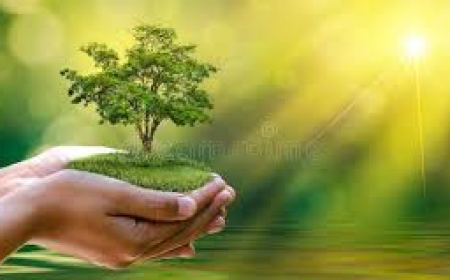 The Rise of Digital Wellness in 2025