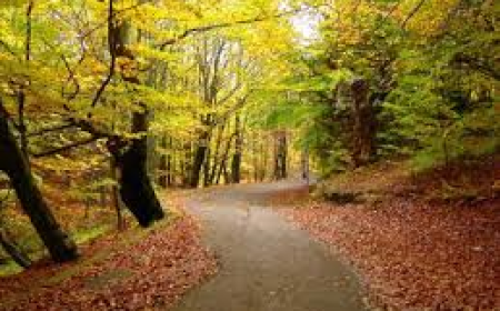 How Governments Are Shaping the Future of Technology