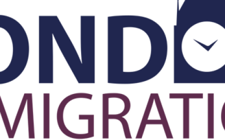 Expert Guidance From Immigration Solicitors London For A Smooth UK Visa Journey