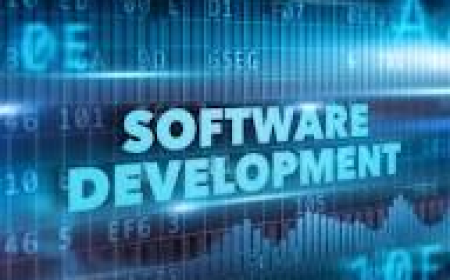 Software Development Services That Help Businesses Grow Faster – CODEX