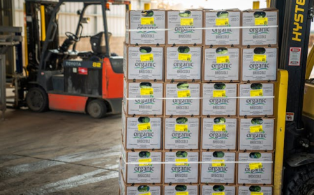 What Defines the Best Packaging Wholesale Company in Industrial Supply Chains