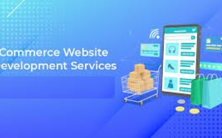 Ecommerce Development Services for Custom Online Stores