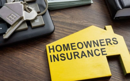 What Makes This Home Insurance Agency the Smart Choice for Homeowners in spring, TX