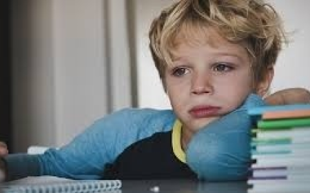 Emotional Disability Awareness: Education, Rights, and Care