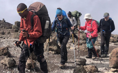 How to Find the Best Affordable Kilimanjaro and Safari Deals in 2026?