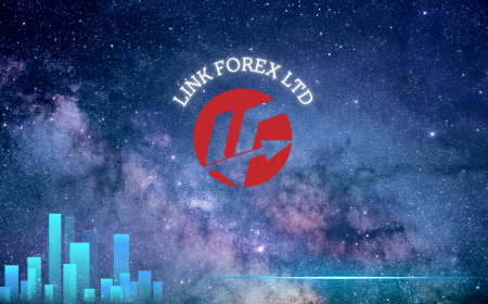 Smart Investment Strategies for Long-Term Financial Growth with Link-Forex