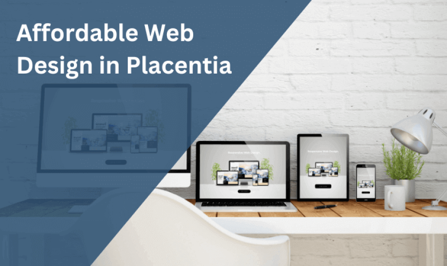 Web Design in Placentia, California