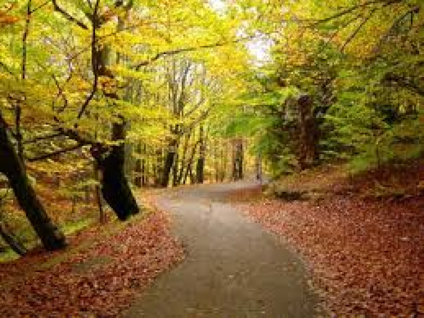 How Governments Are Shaping the Future of Technology