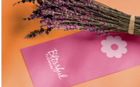 Pitch Deck Design in Dubai