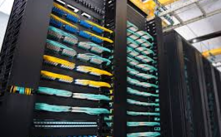Why Is Structured Cabling the Backbone of Modern High-Bandwidth Business Networks?
