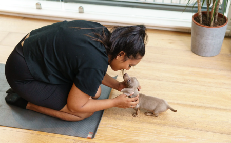 How Puppy Yoga Supports the Development of Friendly and Confident Dogs